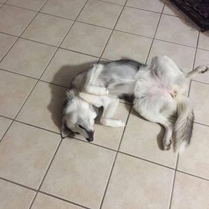 Meet your Posher, Joseph